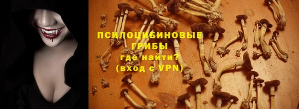 apvp Богородск