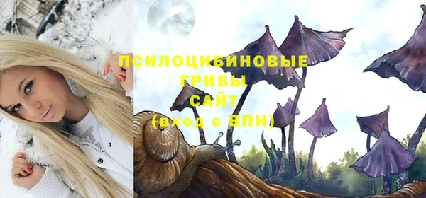 не бодяженный Богородицк